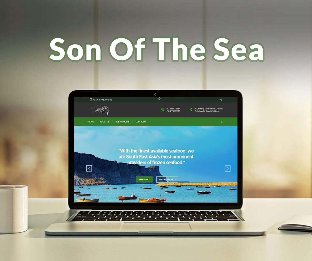 Son of the Sea Website Development