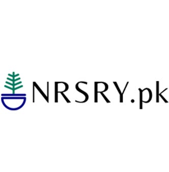 Our Clients - nrsry pk - Zera Creative