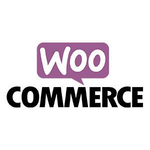 Website Development Services - wordpress woocommerce store development - Zera Creative